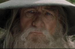 The Fellowship of the Stunts