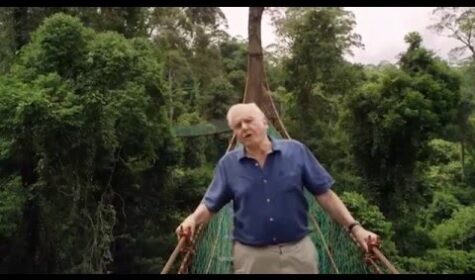 Conquest of the Skies with David Attenborough